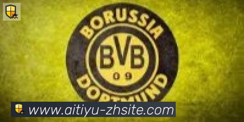 爱体育合作伙伴